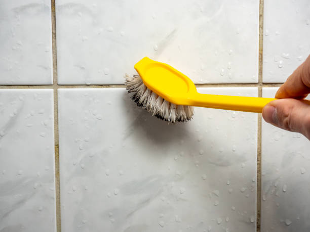 Best Mold Remediation for Specific Building Types in Greenup, IL